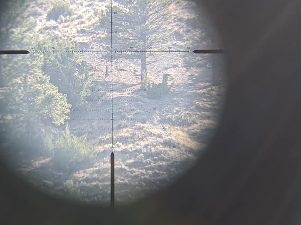2020 Sniper Adventure Challenge 12 Shooting Stage Target Pic
